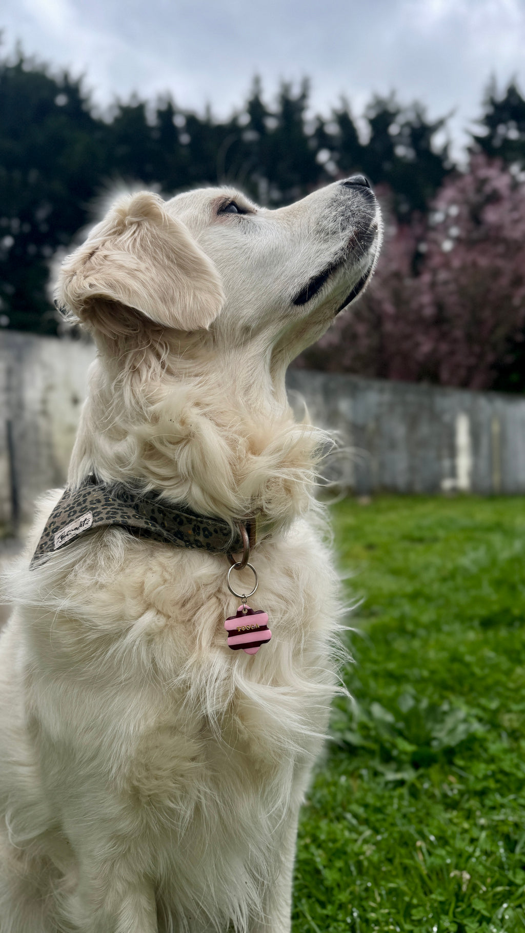 Les inséparables by Atelier Lotta